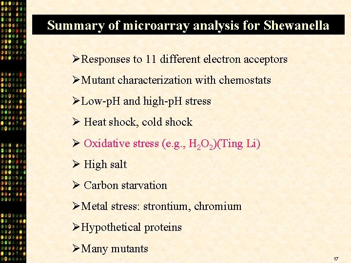 Summary of microarray analysis for Shewanella ØResponses to 11 different electron acceptors ØMutant characterization
