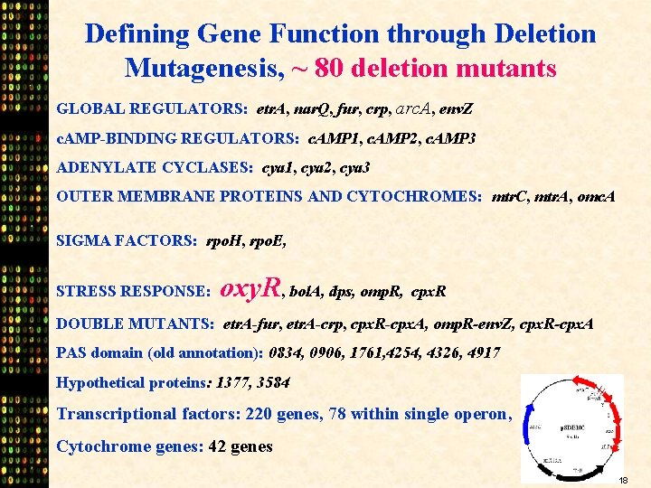 Defining Gene Function through Deletion Mutagenesis, ~ 80 deletion mutants GLOBAL REGULATORS: etr. A,