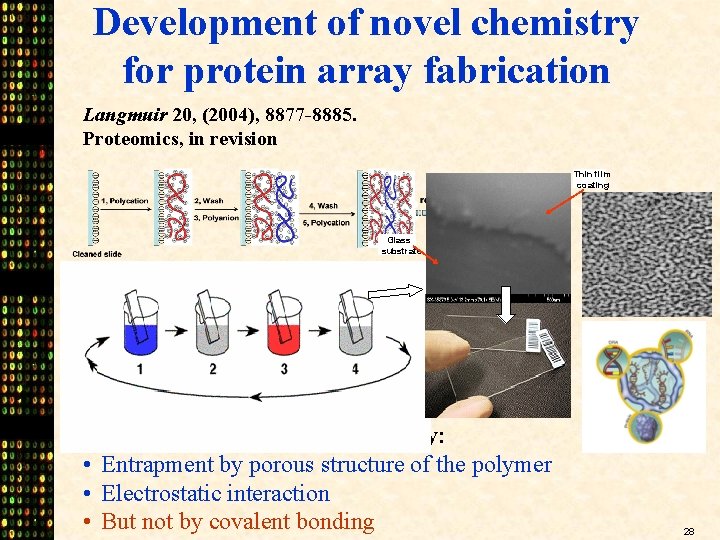 Development of novel chemistry for protein array fabrication Langmuir 20, (2004), 8877 -8885. Proteomics,