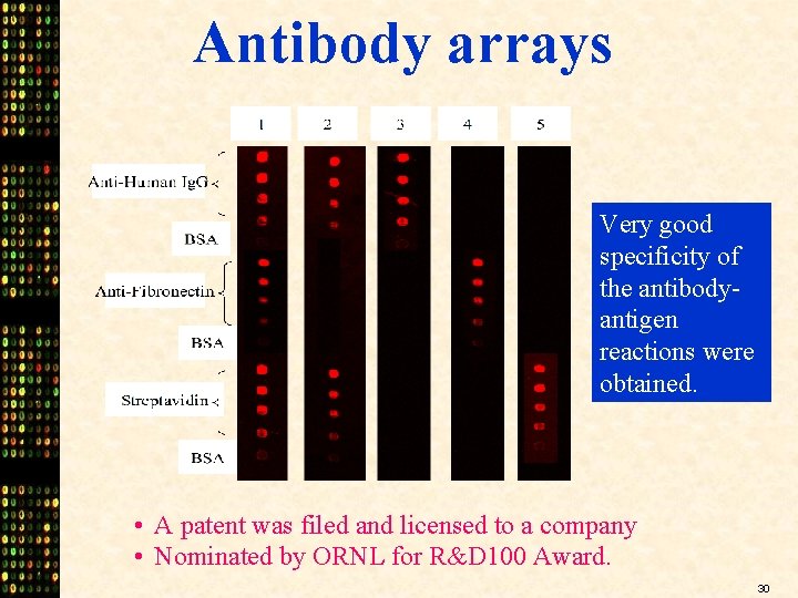Antibody arrays Very good specificity of the antibodyantigen reactions were obtained. • A patent