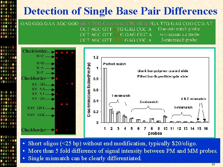 Detection of Single Base Pair Differences • Short oligos (<25 bp) without end modification,