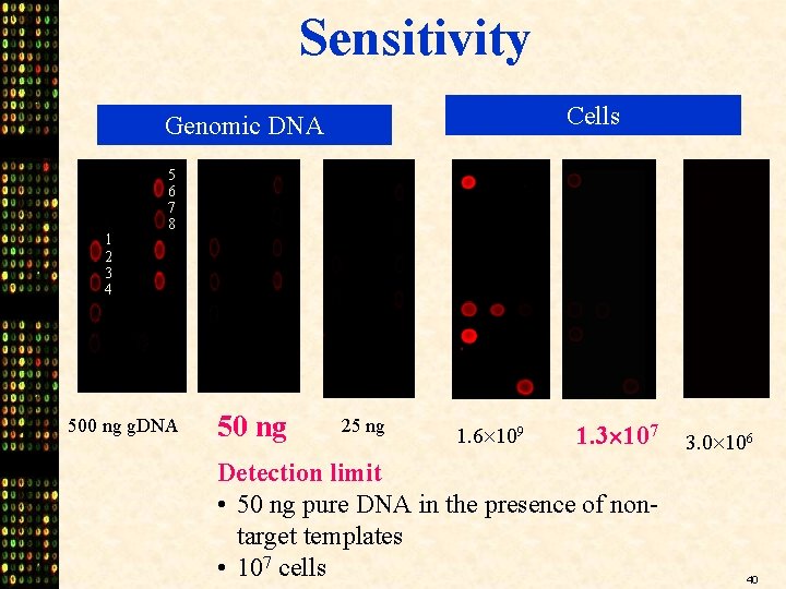 Sensitivity Cells Genomic DNA 1 2 3 4 5 6 7 8 500 ng