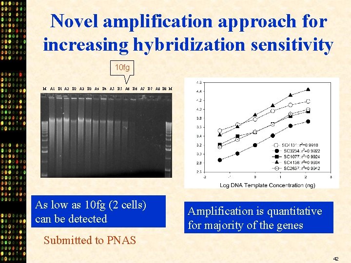 Novel amplification approach for increasing hybridization sensitivity 10 fg M A 1 B 1