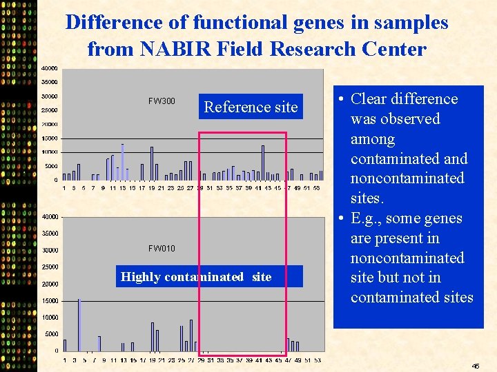 Difference of functional genes in samples from NABIR Field Research Center FW 300 Reference