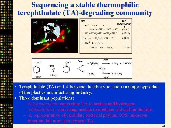Sequencing a stable thermophilic terephthalate (TA)-degrading community (B) (A) CH 4 + CO 2