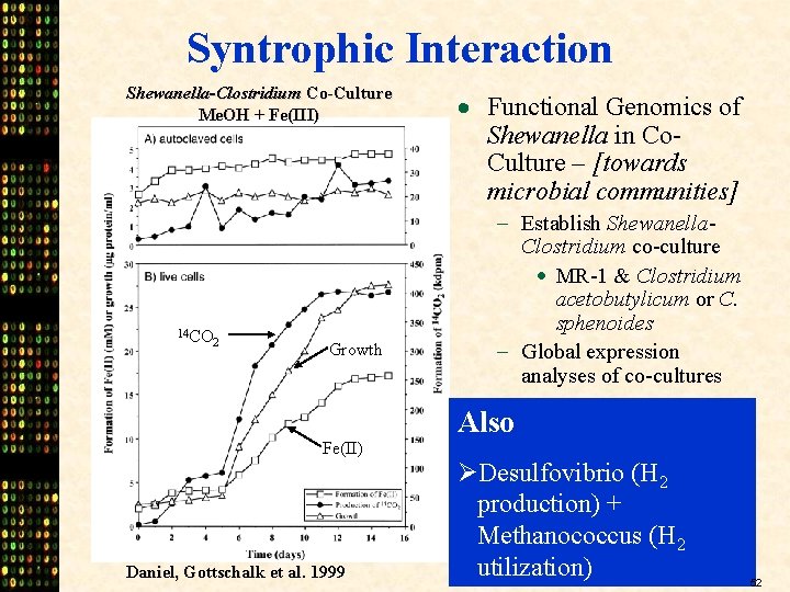 Syntrophic Interaction Shewanella-Clostridium Co-Culture Me. OH + Fe(III) 14 CO 2 Growth Fe(II) Daniel,