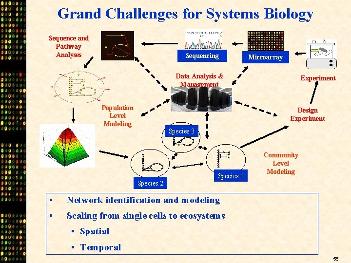 Grand Challenges for Systems Biology Sequence and Pathway Analyses Sequencing Microarray Data Analysis &