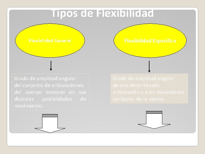 Tipos de Flexibilidad General Flexibilidad Específica Grado de amplitud angular del conjunto de articulaciones