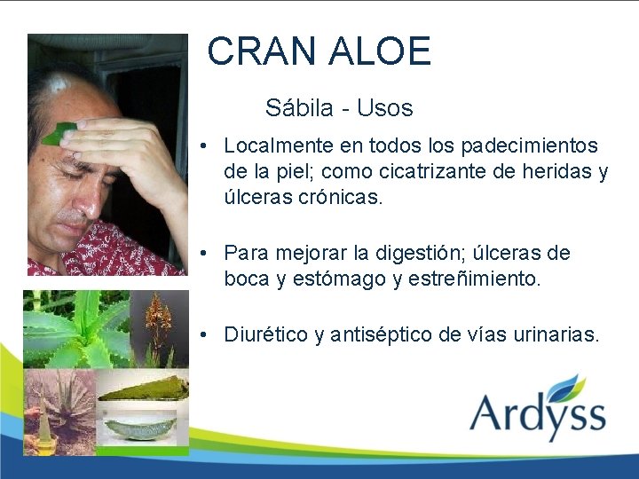 CRAN ALOE Sábila - Usos • Localmente en todos los padecimientos de la piel;