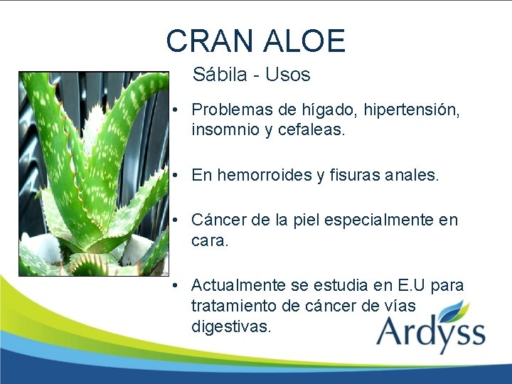 CRAN ALOE Sábila - Usos • Problemas de hígado, hipertensión, insomnio y cefaleas. •