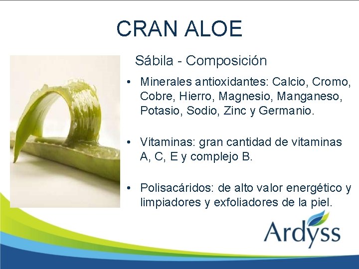 CRAN ALOE Sábila - Composición • Minerales antioxidantes: Calcio, Cromo, Cobre, Hierro, Magnesio, Manganeso,