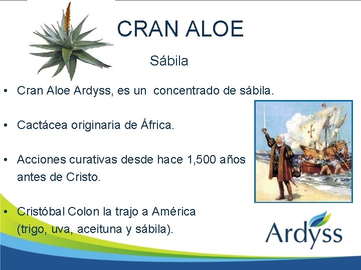 CRAN ALOE Sábila • Cran Aloe Ardyss, es un concentrado de sábila. • Cactácea