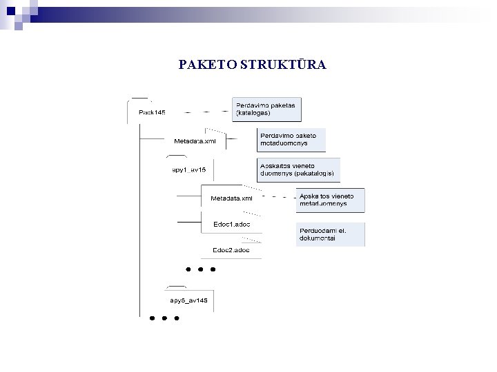 PAKETO STRUKTŪRA PAKETO STRUKTŪRA