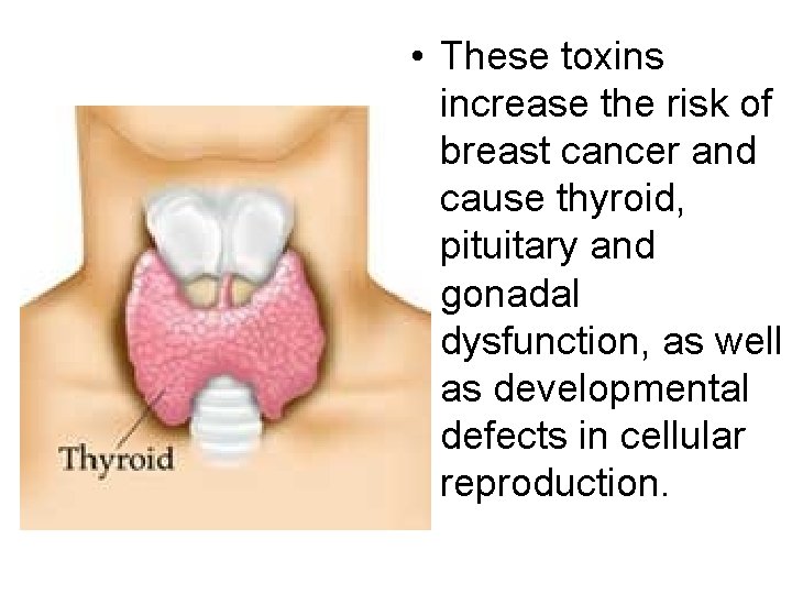  • These toxins increase the risk of breast cancer and cause thyroid, pituitary