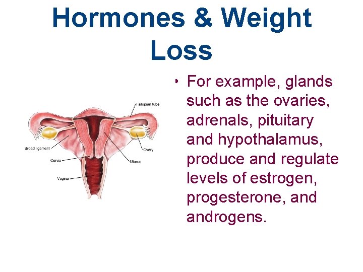 Hormones & Weight Loss • For example, glands such as the ovaries, adrenals, pituitary