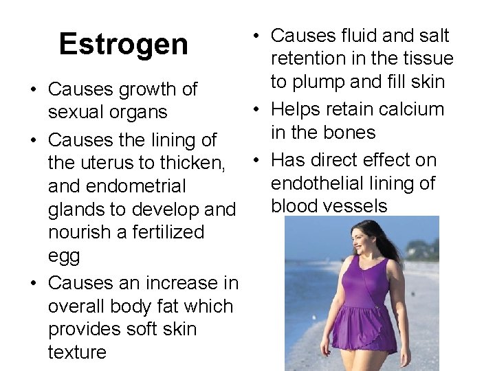  • Causes fluid and salt Estrogen retention in the tissue to plump and