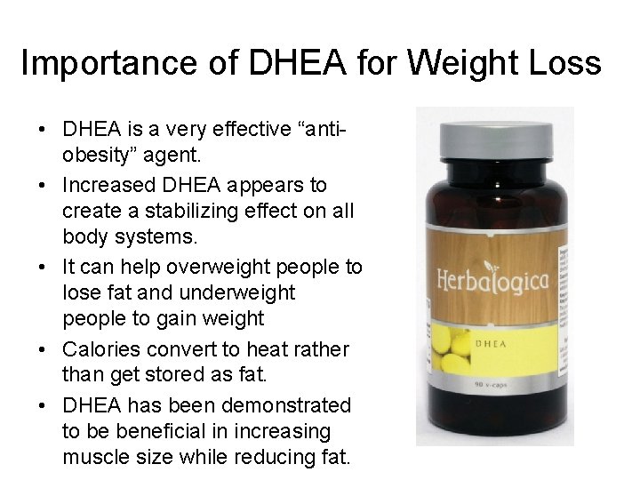 Importance of DHEA for Weight Loss • DHEA is a very effective “antiobesity” agent.