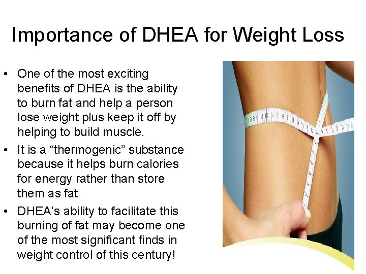 Importance of DHEA for Weight Loss • One of the most exciting benefits of