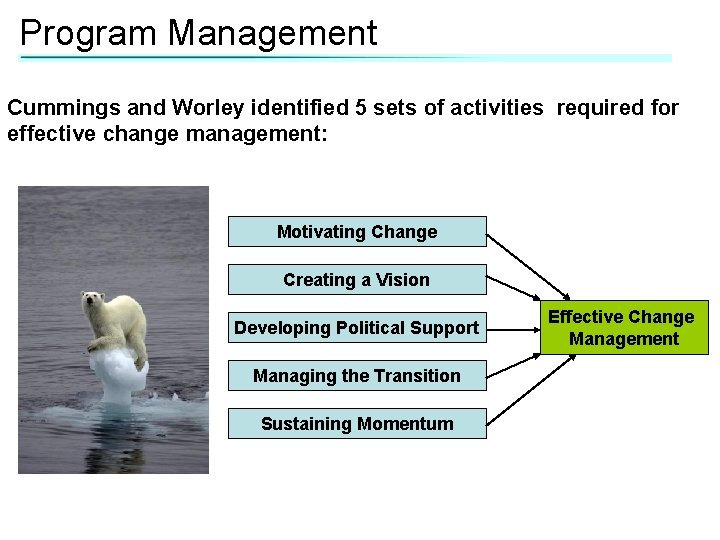 Program Management Cummings and Worley identified 5 sets of activities required for effective change