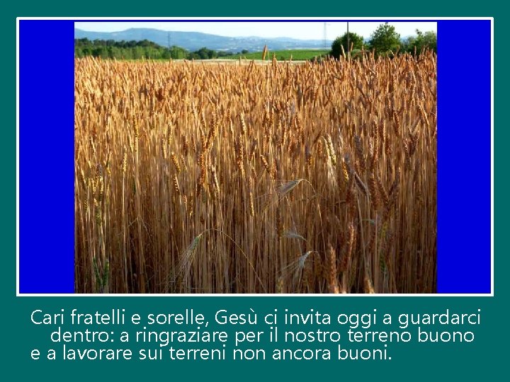 Cari fratelli e sorelle, Gesù ci invita oggi a guardarci dentro: a ringraziare per
