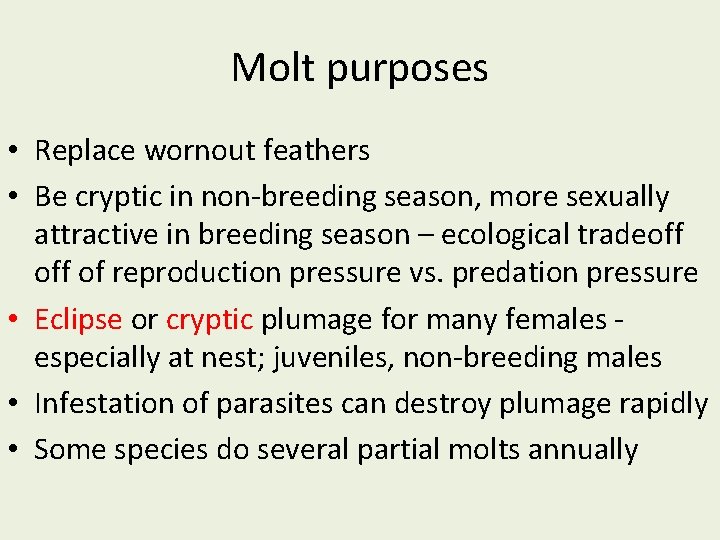 Molt purposes • Replace wornout feathers • Be cryptic in non-breeding season, more sexually