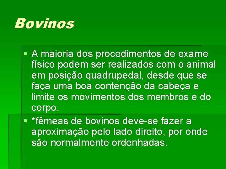 Bovinos § A maioria dos procedimentos de exame físico podem ser realizados com o