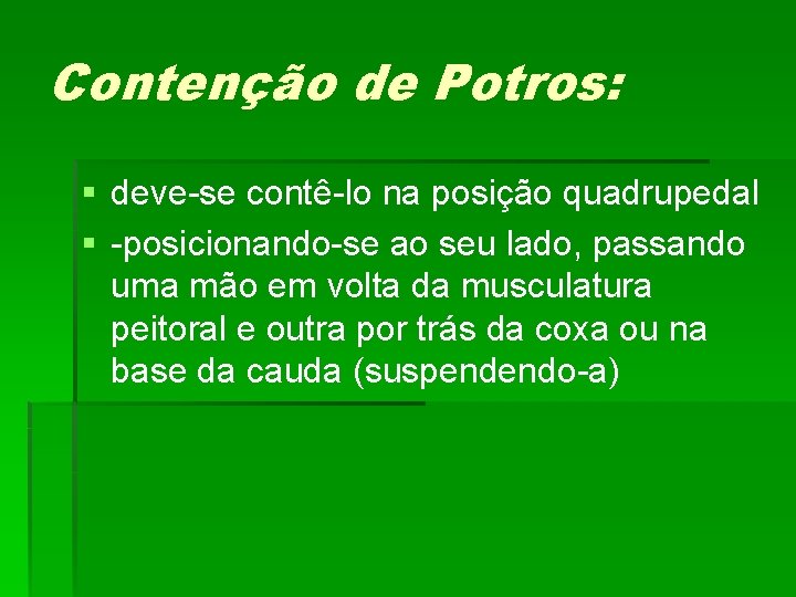 Contenção de Potros: § deve-se contê-lo na posição quadrupedal § -posicionando-se ao seu lado,