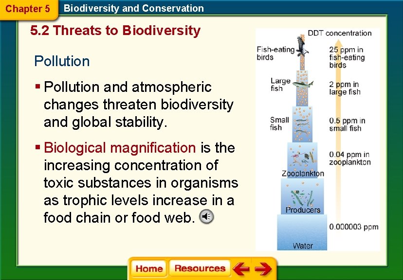 Chapter 5 Biodiversity and Conservation 5. 2 Threats to Biodiversity Pollution § Pollution and Chapter 5 Biodiversity and Conservation 5. 2 Threats to Biodiversity Pollution § Pollution and