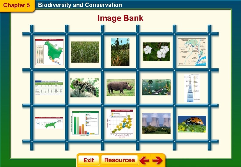 Chapter 5 Biodiversity and Conservation Image Bank Chapter 5 Biodiversity and Conservation Image Bank