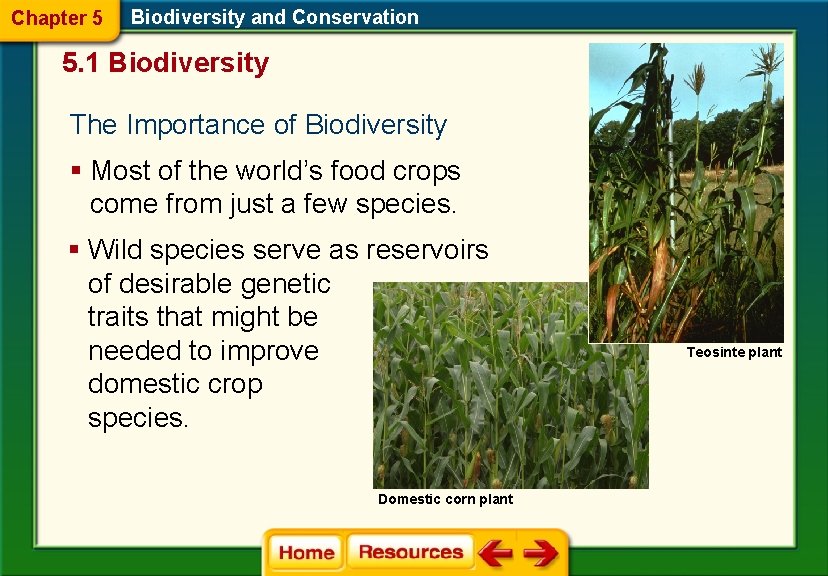 Chapter 5 Biodiversity and Conservation 5. 1 Biodiversity The Importance of Biodiversity § Most Chapter 5 Biodiversity and Conservation 5. 1 Biodiversity The Importance of Biodiversity § Most