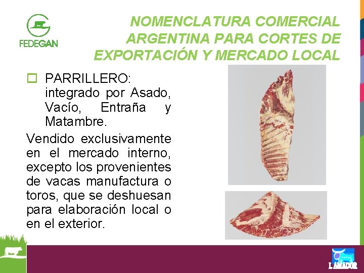 NOMENCLATURA COMERCIAL ARGENTINA PARA CORTES DE EXPORTACIÓN Y MERCADO LOCAL o PARRILLERO: integrado por