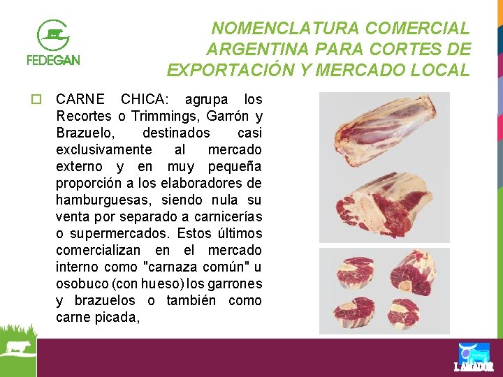 NOMENCLATURA COMERCIAL ARGENTINA PARA CORTES DE EXPORTACIÓN Y MERCADO LOCAL o CARNE CHICA: agrupa