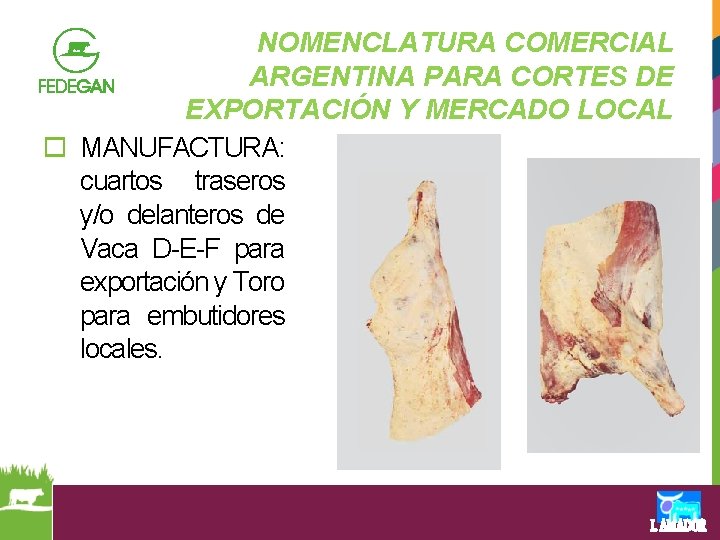 NOMENCLATURA COMERCIAL ARGENTINA PARA CORTES DE EXPORTACIÓN Y MERCADO LOCAL o MANUFACTURA: cuartos traseros