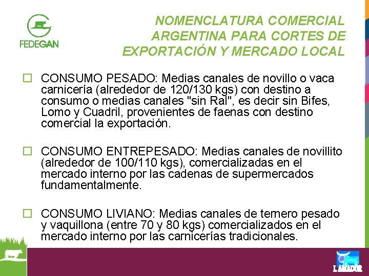 NOMENCLATURA COMERCIAL ARGENTINA PARA CORTES DE EXPORTACIÓN Y MERCADO LOCAL o CONSUMO PESADO: Medias