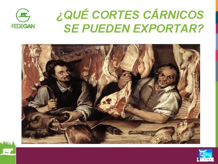 ¿QUÉ CORTES CÁRNICOS SE PUEDEN EXPORTAR? 