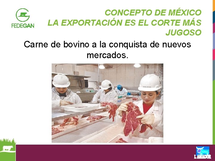 CONCEPTO DE MÉXICO LA EXPORTACIÓN ES EL CORTE MÁS JUGOSO Carne de bovino a
