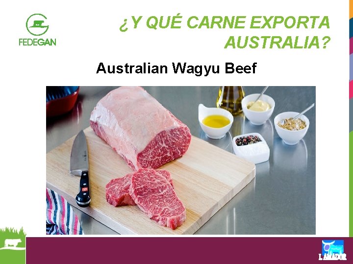 ¿Y QUÉ CARNE EXPORTA AUSTRALIA? Australian Wagyu Beef 