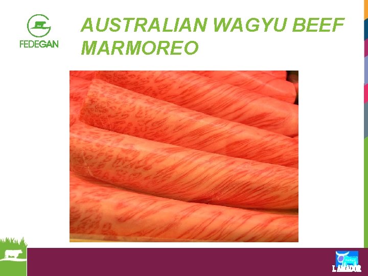 AUSTRALIAN WAGYU BEEF MARMOREO 