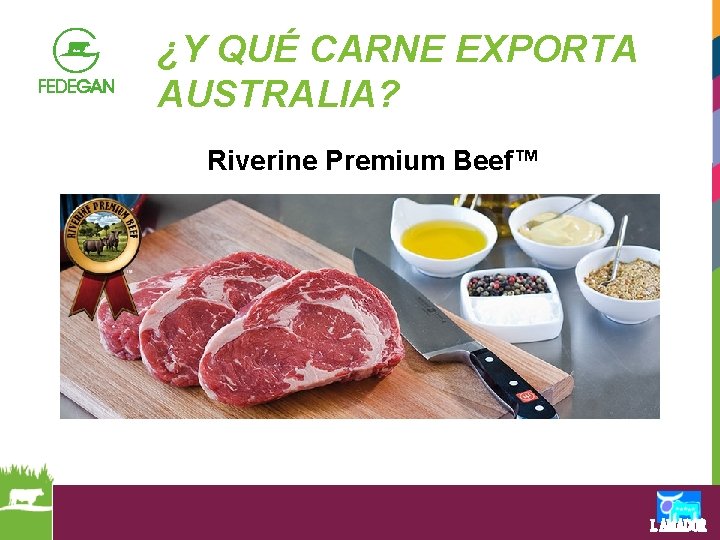 ¿Y QUÉ CARNE EXPORTA AUSTRALIA? Riverine Premium Beef™ 
