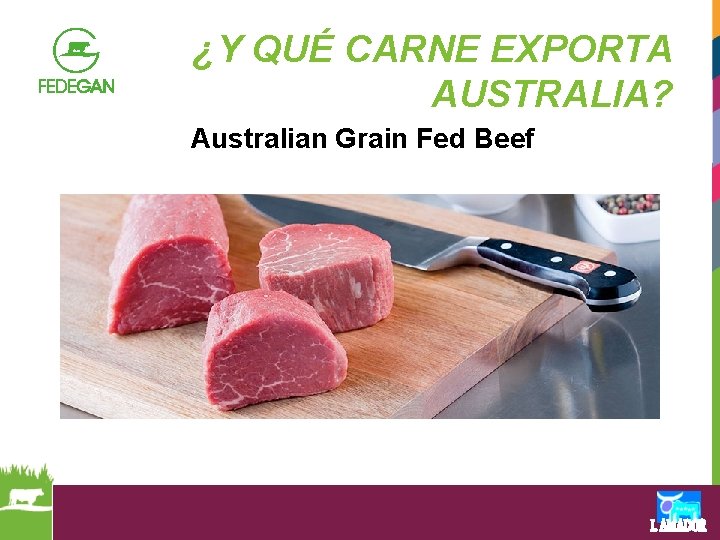 ¿Y QUÉ CARNE EXPORTA AUSTRALIA? Australian Grain Fed Beef 