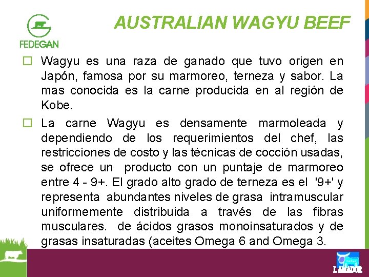 AUSTRALIAN WAGYU BEEF o Wagyu es una raza de ganado que tuvo origen en