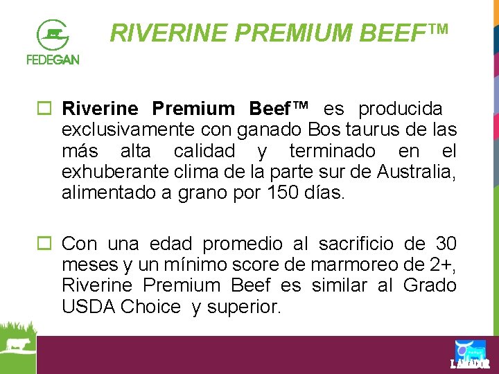 RIVERINE PREMIUM BEEF™ o Riverine Premium Beef™ es producida exclusivamente con ganado Bos taurus