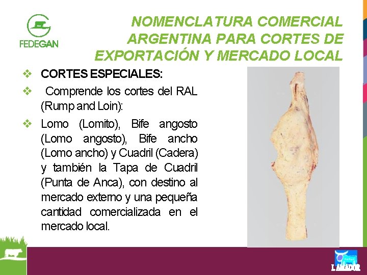 NOMENCLATURA COMERCIAL ARGENTINA PARA CORTES DE EXPORTACIÓN Y MERCADO LOCAL v CORTES ESPECIALES: v