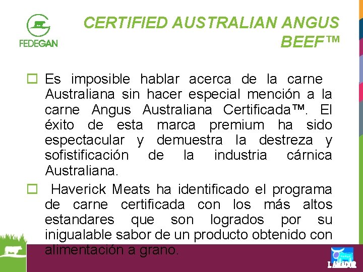 CERTIFIED AUSTRALIAN ANGUS BEEF™ o Es imposible hablar acerca de la carne Australiana sin