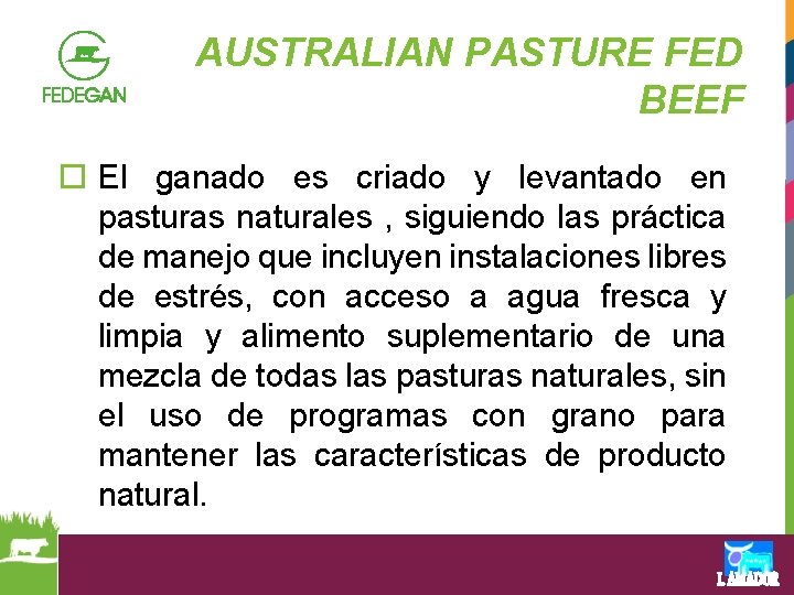 AUSTRALIAN PASTURE FED BEEF o El ganado es criado y levantado en pasturas naturales