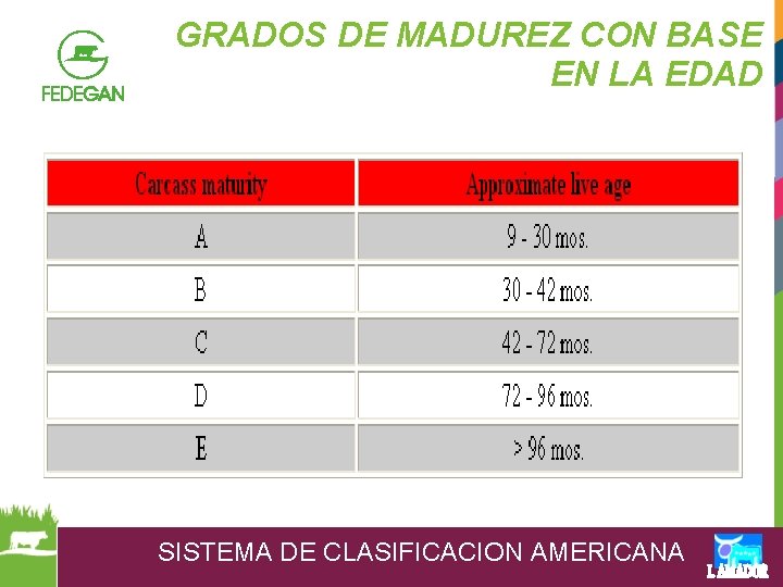 GRADOS DE MADUREZ CON BASE EN LA EDAD SISTEMA DE CLASIFICACION AMERICANA 