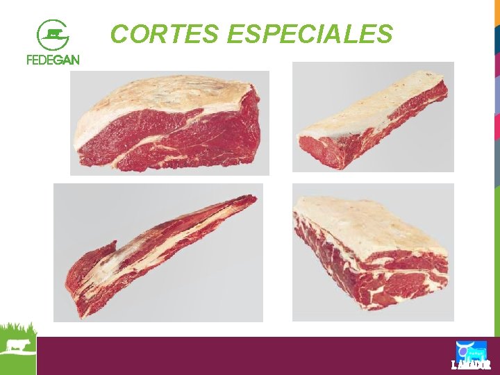 CORTES ESPECIALES 