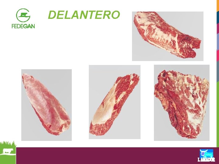 DELANTERO 
