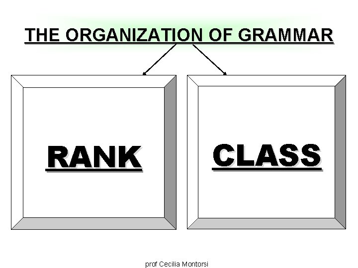 THE ORGANIZATION OF GRAMMAR CLASS RANK prof Cecilia Montorsi 