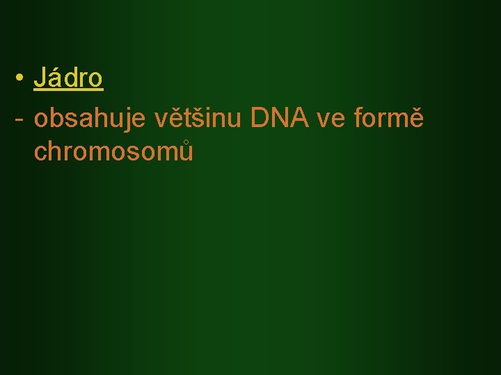 • Jádro - obsahuje většinu DNA ve formě chromosomů 